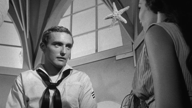 8bdijwdsexz6yfxndwyvmk15ibb